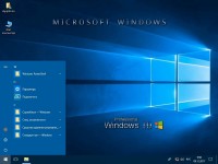 Windows 10 Professional VL x86/x64 Elgujakviso Edition v.08.12.17