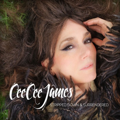 Cee Cee James - Stripped Down & Surrendered (2016) (Lossless)