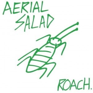 Aerial Salad - Roach. (2017)