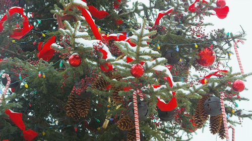 Сloseup christmas tree in snow 2