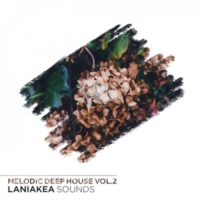 Laniakea Sounds Melodic Deep House Vol 2-DISCOVER