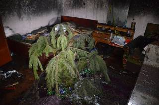 Погибель под елкой: юные супруги погибли на пожаре в малюсенькой квартире в Николаеве