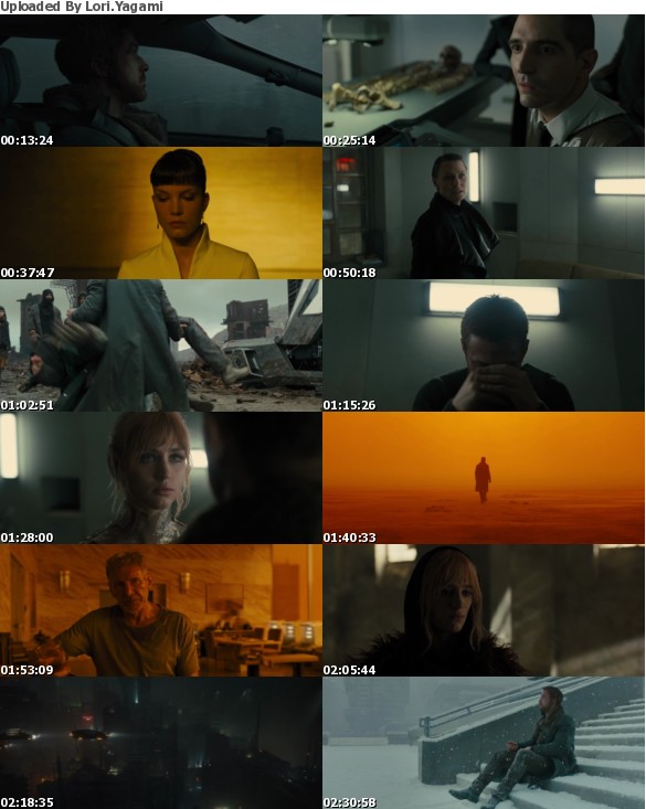 Blade Runner 2049 2017 HEVC 1080p CRF WEB-DL-Omikron