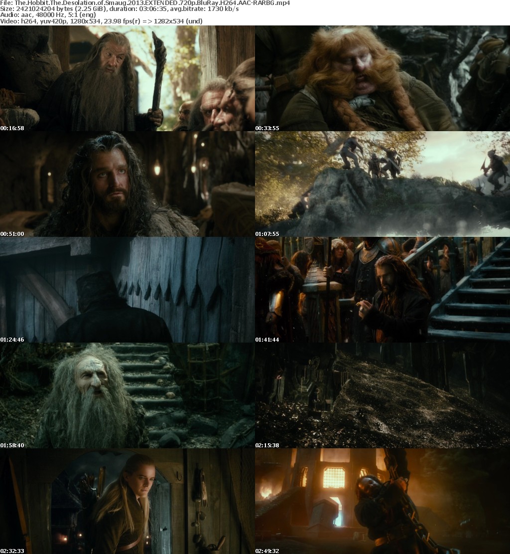 The Hobbit The Desolation of Smaug (2013) EXTENDED 720p BluRay H264 AAC-RARBG