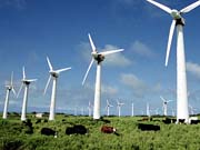 Бразилия готов стать мировым центром ветровой энергетики / Новинки / Finance.ua