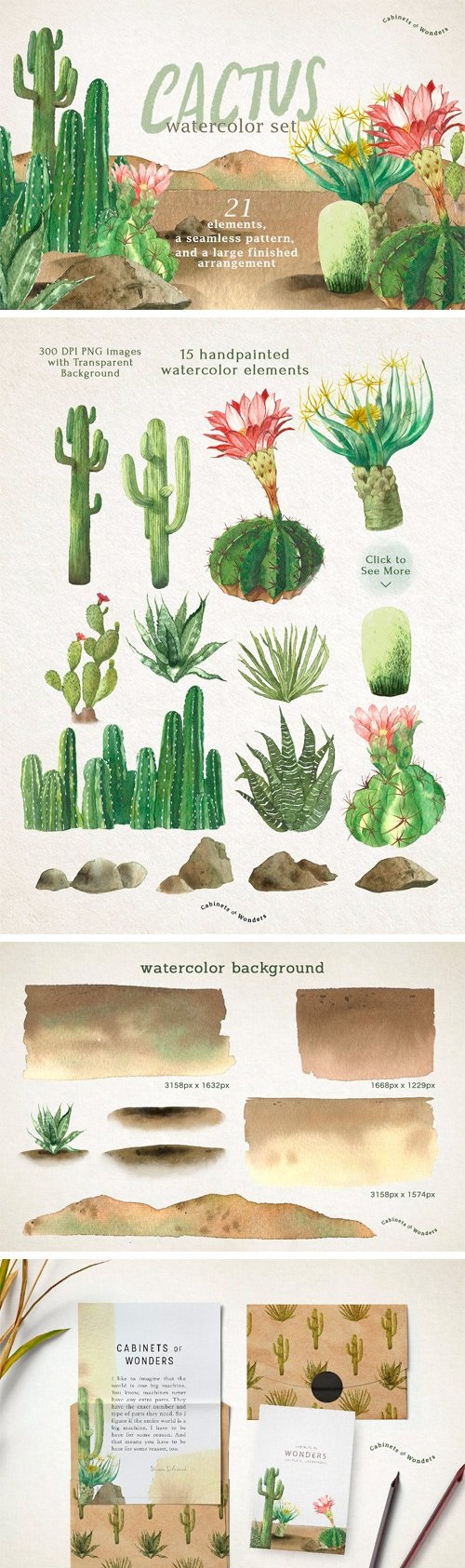 Cactus Watercolor Set - 2066730