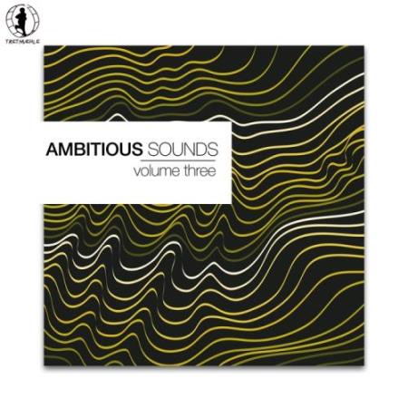 Ambitious Sounds Vol 3 The Deep Side Of Tech House (2018)
