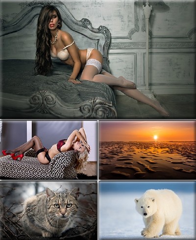 LIFEstyle News MiXture Images. Wallpapers Part (1354)