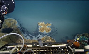 В Мексиканском заливе ученые нашли смертоносное озеро