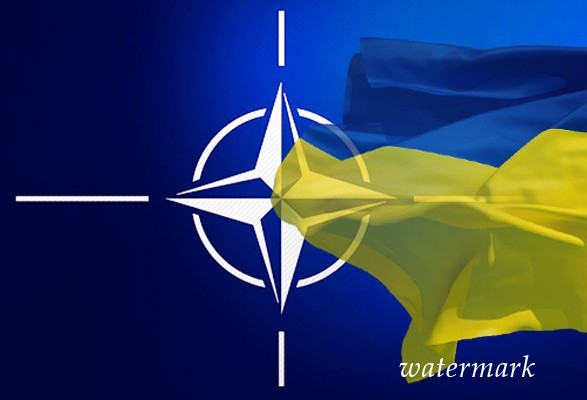 Кабмин утвердил годовую национальную програмку Украина-НАТО