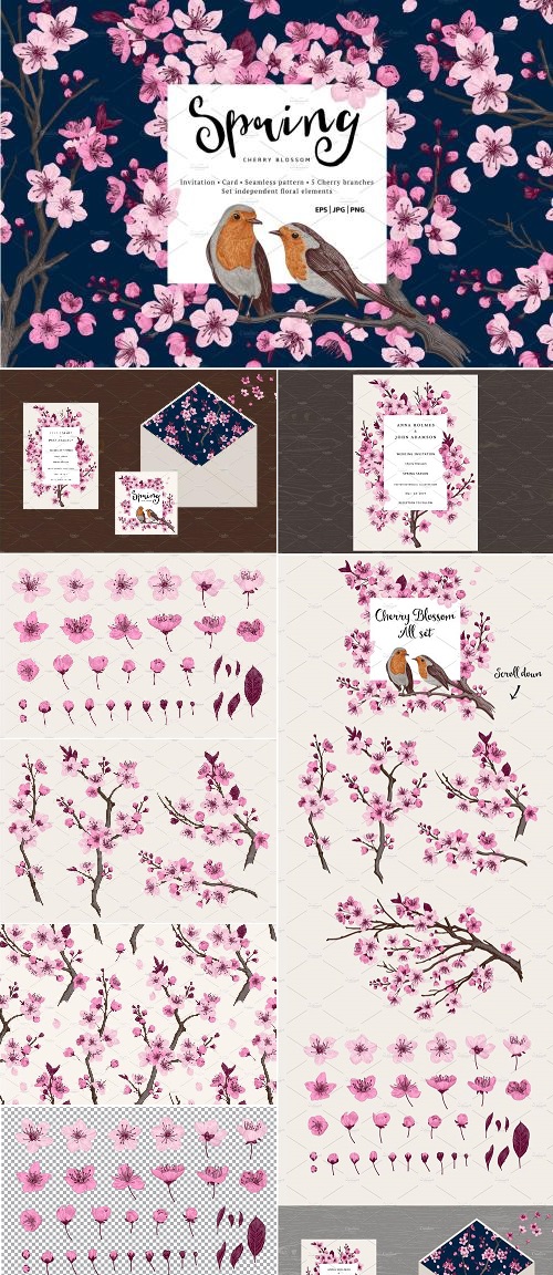 Spring Cherry Blossom - 2193926