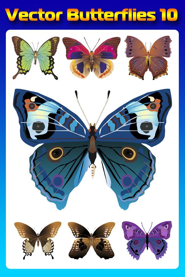Бабочки (насекомые в векторе) часть десятая