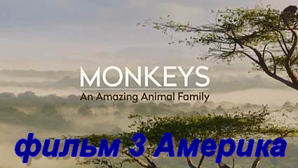 Обезьяны - Удивительное семейство животных (2016) HDTVRip фильм 3 Америка