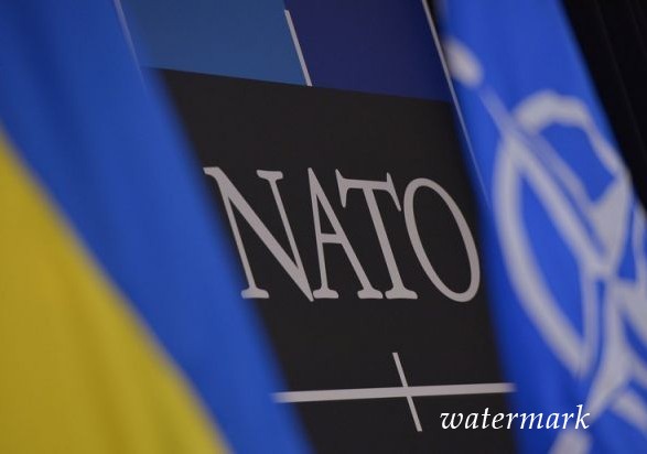 Минэнергоугля ждёт, что Украина вступит в Центр энергобезопасности НАТО в этом году
