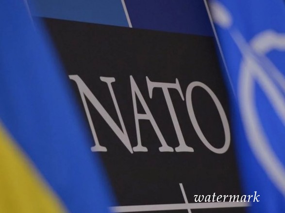 Порошенко в наиблежайшее время инициирует конфигурации в Конституцию о стремлении в НАТО