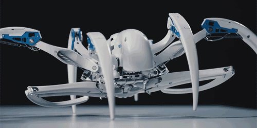 Робот BionicWheelBot