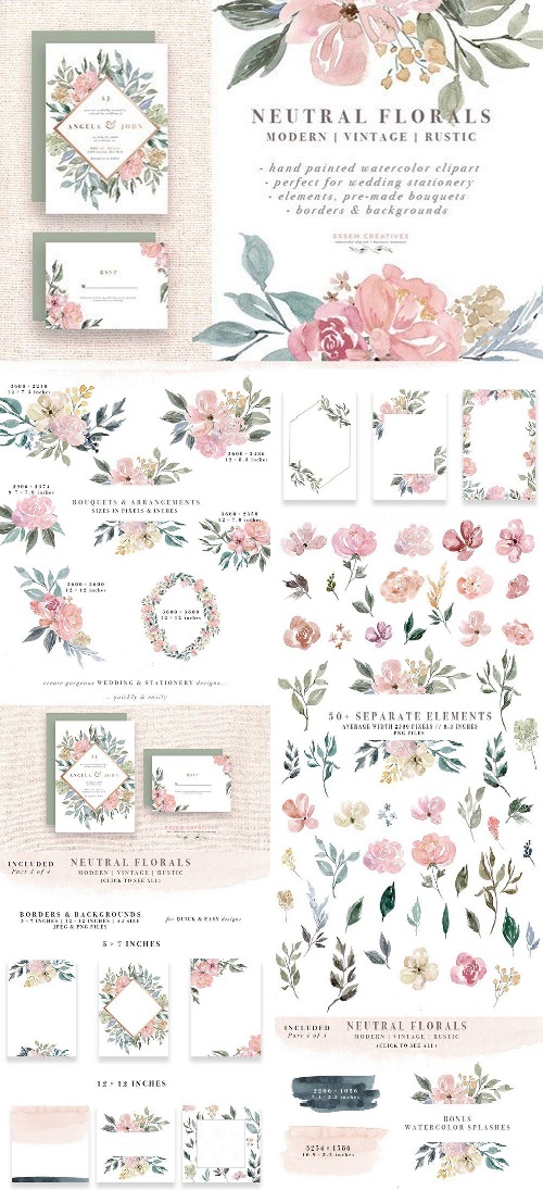 Neutral Watercolor Flower Graphics 1588293