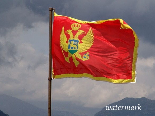 Наша родина объявила особой нон грата дипломата Черногории