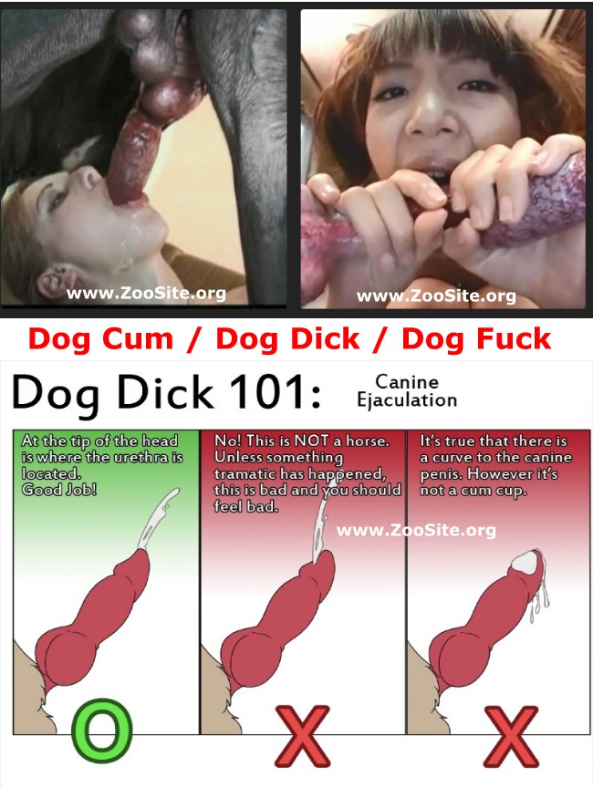 d801bd1cc24e071b00b647d02b0000ed - DOG CUM COMPILATION - How Make a Dog CumShots