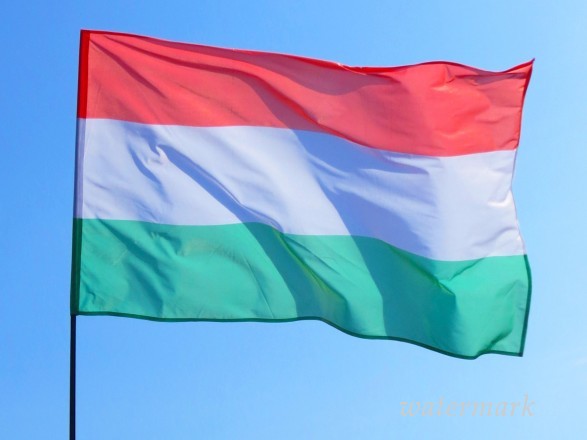 В Венгрии объяснили изменение наименования собственного уполномоченного "по Закарпатью"