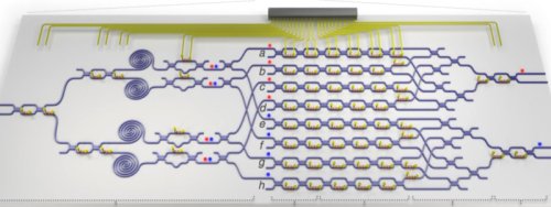 Структура квантового процессора