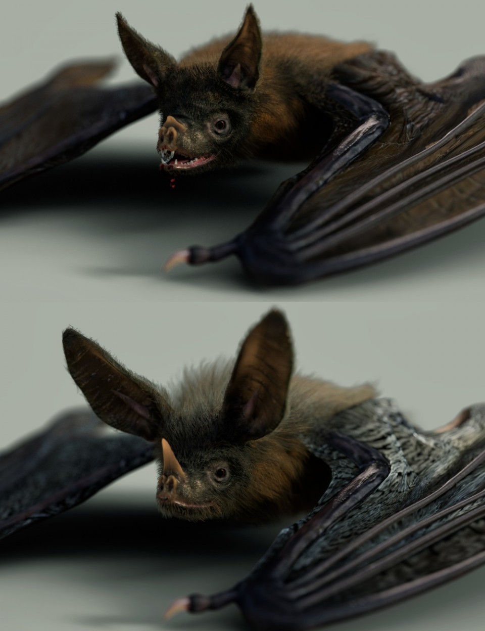 Vampire Bat by AM