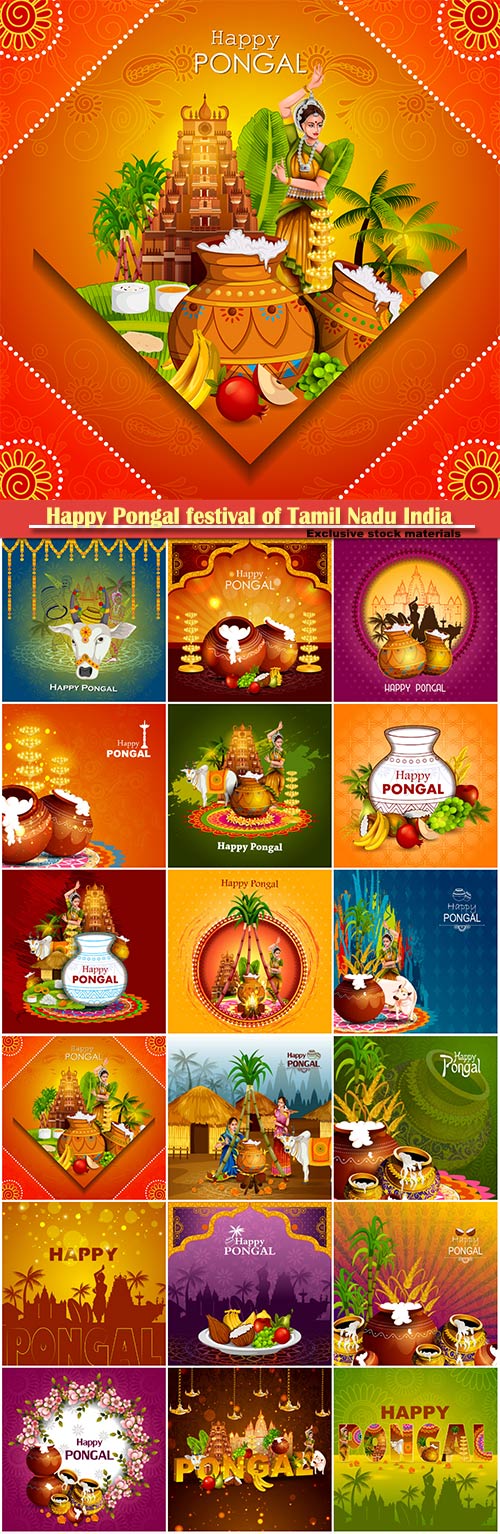 Happy Pongal festival of Tamil Nadu India vector background